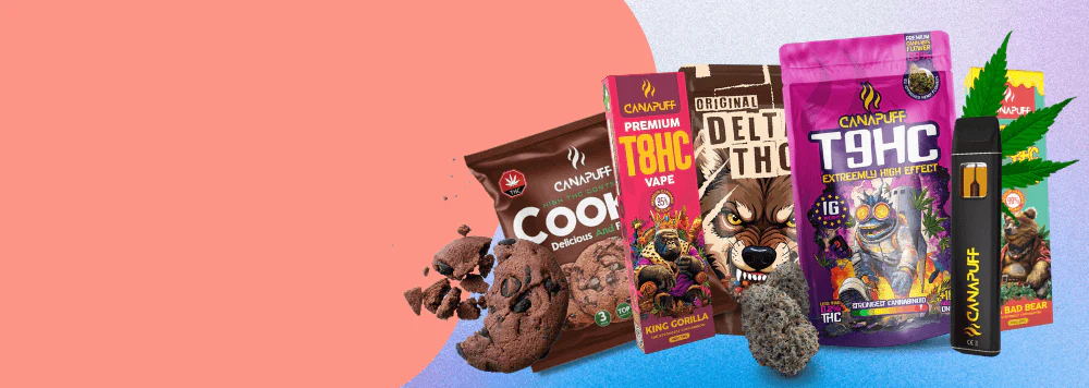 Elevate Your Vibe with Canapuff
