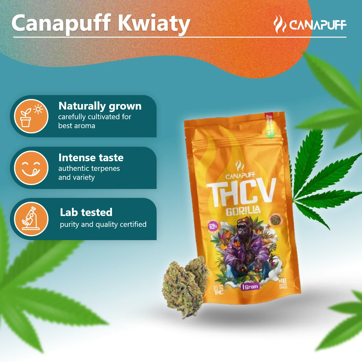 THCv Flowers Gorilla 69% - Image 3